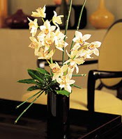  anakkale yurtii ve yurtd iek siparii  cam yada mika vazo ierisinde dal orkide