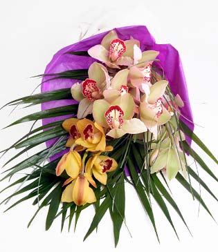  anakkale iek yolla  1 adet dal orkide buket halinde sunulmakta